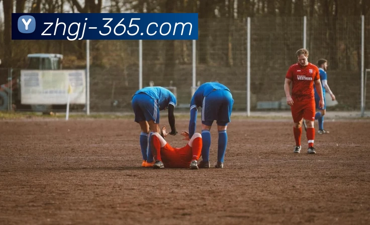 尊皇国际服务发展历程